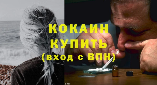 стаф Балахна